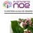 Floristeria Noe