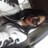 Mayrol Laura Alvarez Demestre
