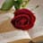 Ana Reig