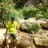 Diego Yago