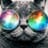 Gato Espacial