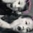 mayte tube
