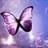 ana_olbe