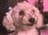 analises