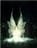anyelux
