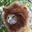 Ivan Avendano