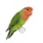 aviariokea