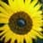 Gladys Garcia