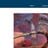 Movil Forum