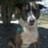 Caro Vega