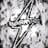ByRayo -