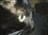 bts_83