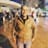 haitham elsamahy