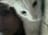 catin7733