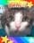 chispi_cat