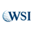 Digital Dynamics WSI