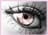 cristy1588