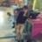 Beluu Ponce