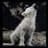dannielcitox