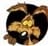 david_653