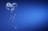 deep_blue