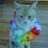 Cachup9_ng