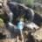diego_senda