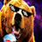 RODXIR SLGHT