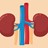 Kidney Treatment in India