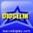 dioselin27