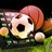 sportstotolink com