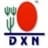 dxnperu