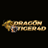 dragontigerd dragontigerd