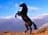 emy_h
