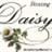 Daisy Williams