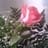 Mariel