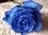 flaka0712