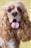 frekie