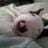 Andrea Carolina Carrillo