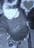 gisell_19_92