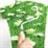 Pintores Verdes