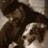 Leyla Portraits-DogFrisbee