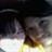 Michell Ayala Cotte