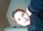 ivanel0784