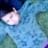 Joselin Jasmin