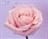 jacqui0512