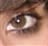 jessica_cat