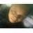 Edgar Lisandro