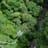 Juan Manuel Cierra