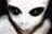 katriel24